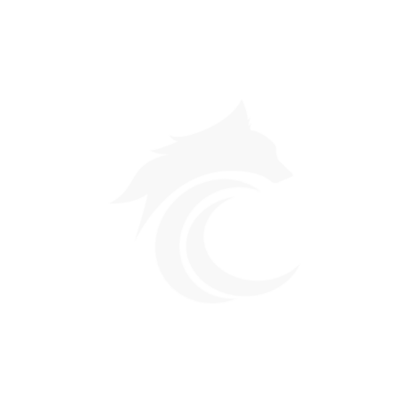 Wolf Media & Consulting - Logo 